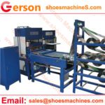 Mini Beam Platen Press with Conveyor Feeding System